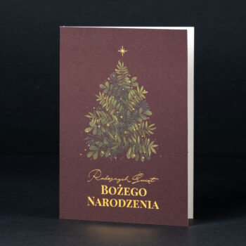 kartka świąteczna ACH-034 1